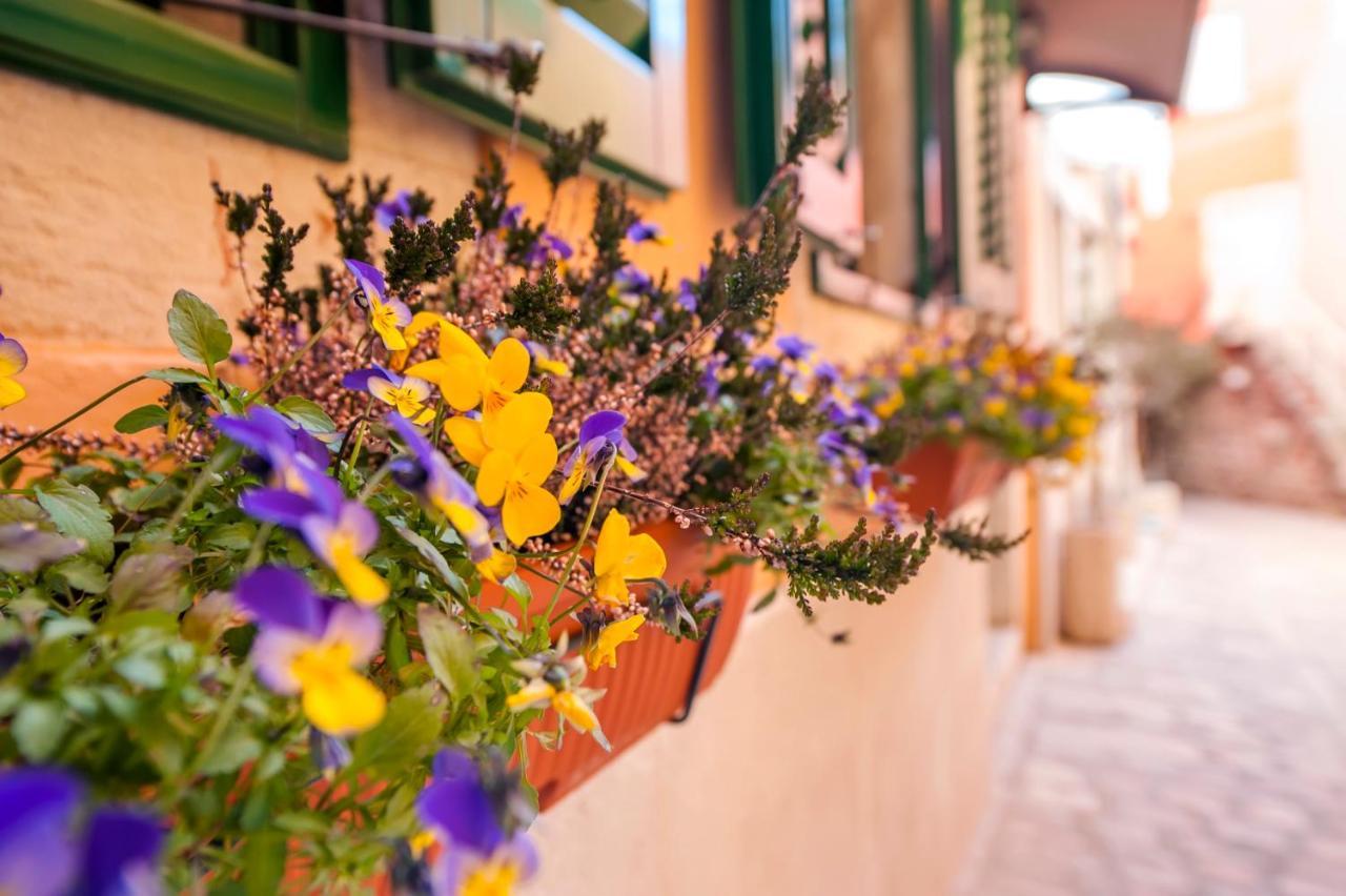 Guest House Sotto I Volti Centro Storico Ρόβινι Εξωτερικό φωτογραφία